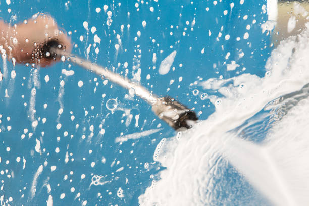 Best Animal Enclosure Cleaning  in Hewlett, NY